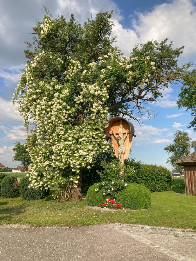 Fruehstueckspension Herzog Zu Laah Ansfelden Buitenkant foto