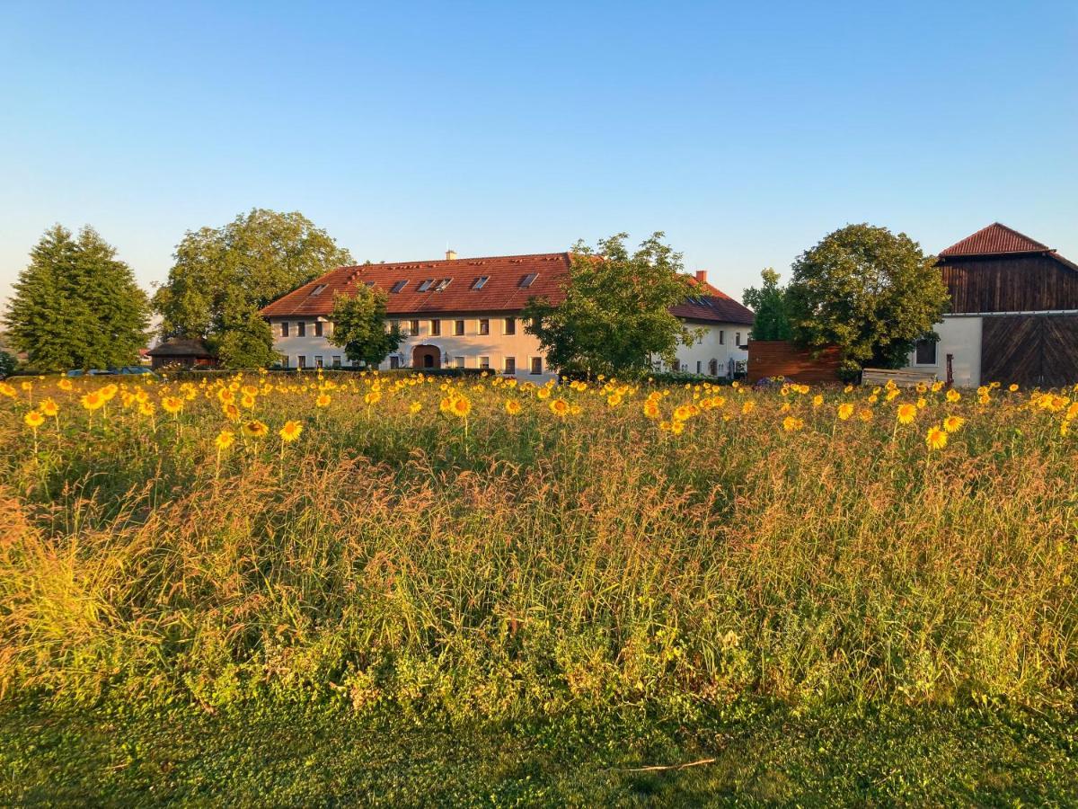 Fruehstueckspension Herzog Zu Laah Ansfelden Buitenkant foto