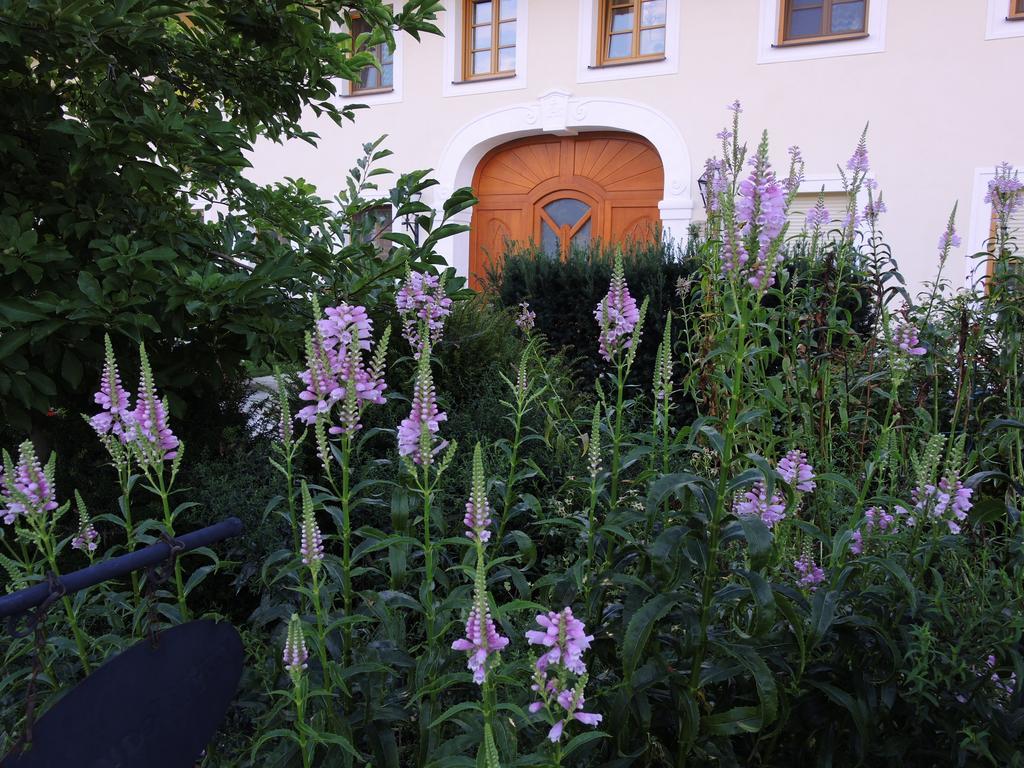 Fruehstueckspension Herzog Zu Laah Ansfelden Buitenkant foto