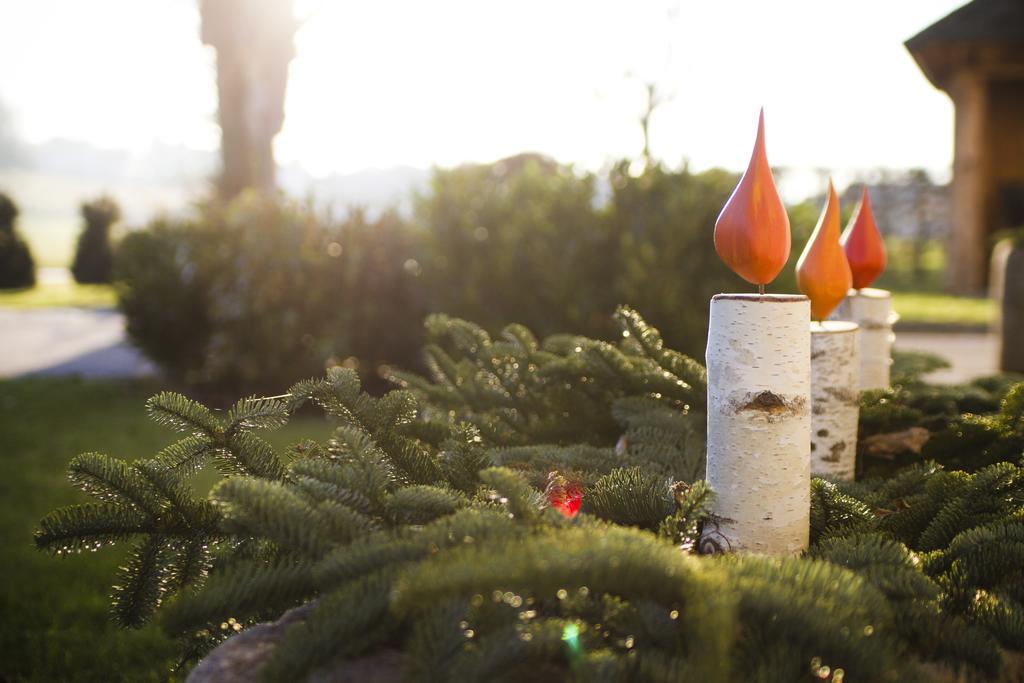 Fruehstueckspension Herzog Zu Laah Ansfelden Buitenkant foto