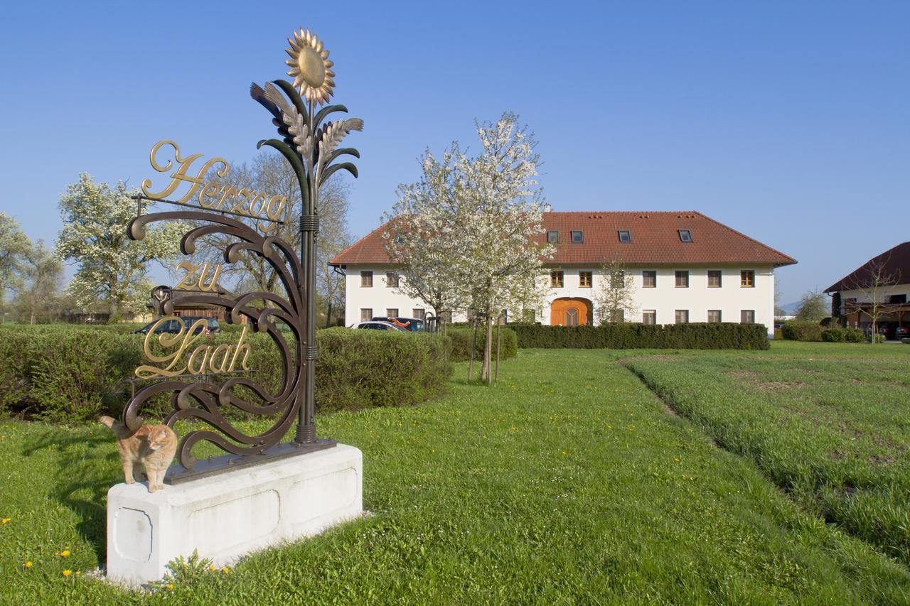 Fruehstueckspension Herzog Zu Laah Ansfelden Buitenkant foto